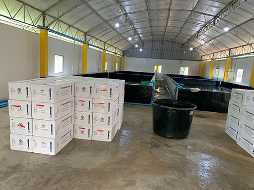 Excitedly waiting for SIS broodstock Shipment to arrive to Phuket Airport